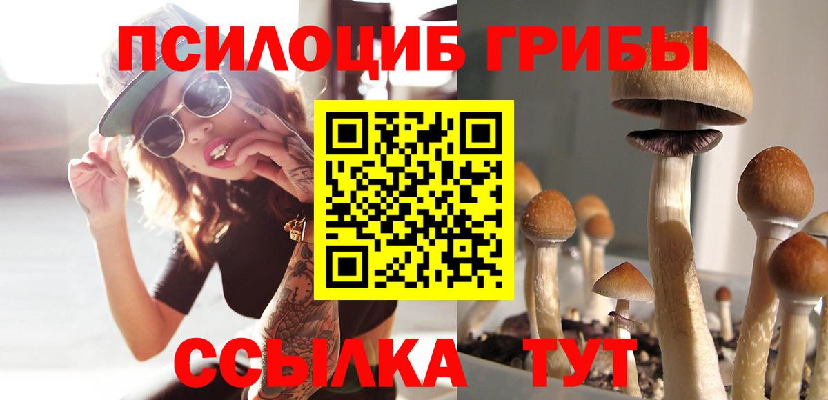 Галлюциногенные грибы прущие грибы Новошахтинск